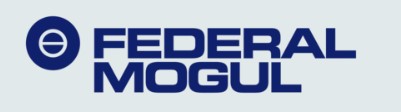 FEDERAL MOGUL
